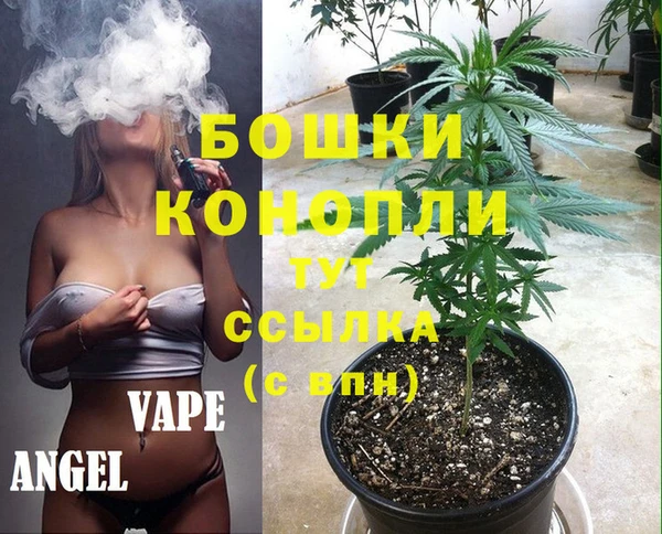 крисы Арсеньев