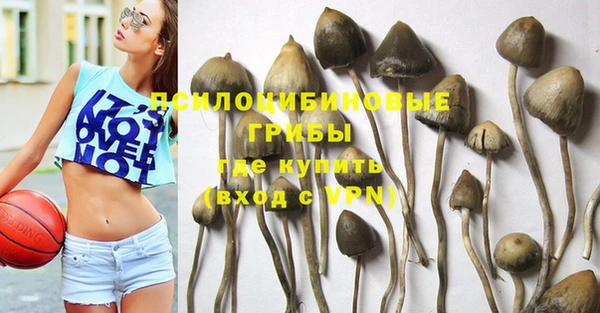альфа пвп Армянск