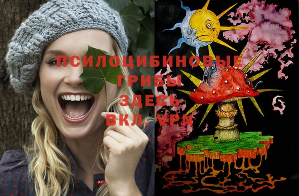 альфа пвп Армянск