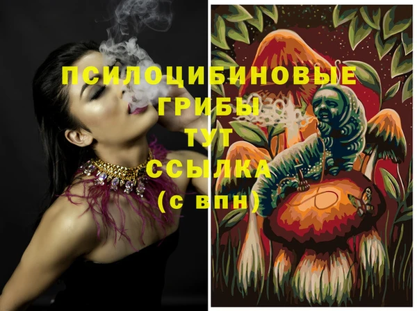 крисы Арсеньев